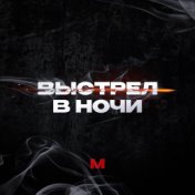 Выстрел в ночи