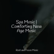 Spa Music | Comforting New Age Music