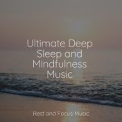 Ultimate Deep Sleep and Mindfulness Music