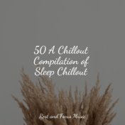 50 A Chillout Compilation of Sleep Chillout