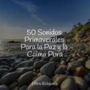 50 Sonidos Primaverales Para la Paz y la Calma Pura