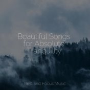 Beautiful Songs for Absolute Tranquility