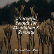 50 Restful Sounds for Meditation & Serenity