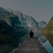 Spring Melodies | Comforting