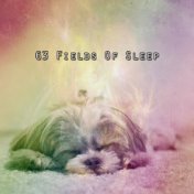 63 Fields Of Sleep