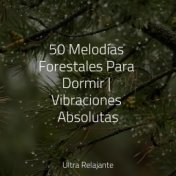 50 Melodías Forestales Para Dormir | Vibraciones Absolutas