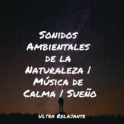 Sonidos Ambientales de la Naturaleza | Música de Calma | Sueño