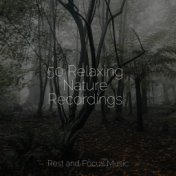 50 Relaxing Nature Recordings
