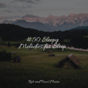 #50 Sleepy Melodies for Sleep