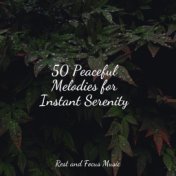 50 Peaceful Melodies for Instant Serenity