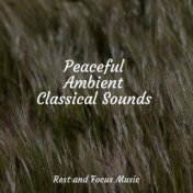 Peaceful Ambient Classical Sounds