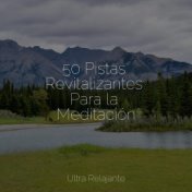 50 Pistas Revitalizantes Para la Meditación
