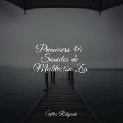 Primavera 50 Sonidos de Meditación Zen