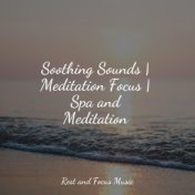 Soothing Sounds | Meditation Focus | Spa and Meditation