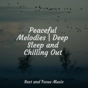 Peaceful Melodies | Deep Sleep and Chilling Out