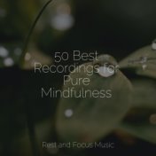 50 Best Recordings for Pure Mindfulness