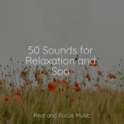 50 Sounds for Relaxation and Spa