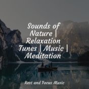 Sounds of Nature | Relaxation Tunes | Music | Meditation