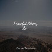 Peaceful Sleepy Zen