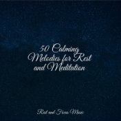 50 Calming Melodies for Rest and Meditation