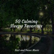 50 Calming Sleepy Favorites