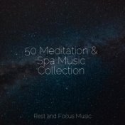 50 Meditation & Spa Music Collection