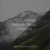 50 Calming Nature Music Classics