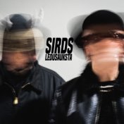 Sirds Ledusauksta