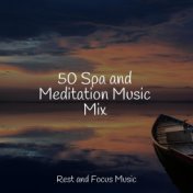 50 Spa and Meditation Music Mix