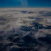 50 Soothing Sounds of Nature & Meditation and Relaxation