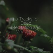 50 Tracks for Deep Meditation and Meditation