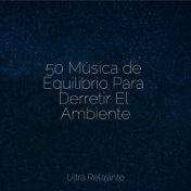 50 Música de Equilibrio Para Derretir El Ambiente