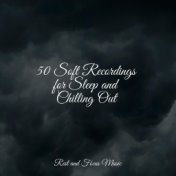 50 Soft Recordings for Sleep and Chilling Out