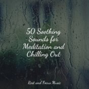 50 Soothing Sounds for Meditation and Chilling Out