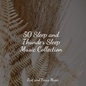 50 Sleep and Thunder Sleep Music Collection