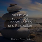 50 Mellow Sounds for Peaceful Sleep and Relaxation
