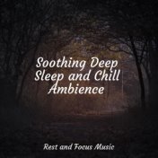 Soothing Deep Sleep and Chill Ambience