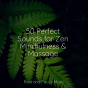 50 Perfect Sounds for Zen Mindfulness & Massage