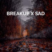 Breakup x Sad