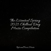The Essential Spring 2021: Chillout Day Music Compilation