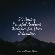 50 Spring Peaceful Ambient Melodies for Deep Relaxation