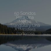 50 Sonidos Para Una Mente Tranquila y Una ATMósfera Poderosa