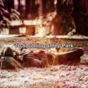 70 Soothing Sleep Park