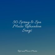 50 Spring & Spa Music Relaxation Songs