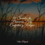 50 Sonidos de Primavera Para Confortar y Relajar