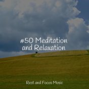 #50 Meditation and Relaxation