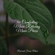 50 Comforting Music Relaxing Music Pieces