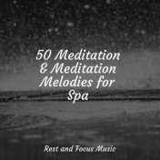 50 Meditation & Meditation Melodies for Spa