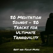 50 Meditation Sounds - 50 Tracks for Ultimate Tranquility