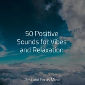 50 Positive Sounds for Vibes and Relaxation